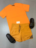 Lv set (t-shirt and short)