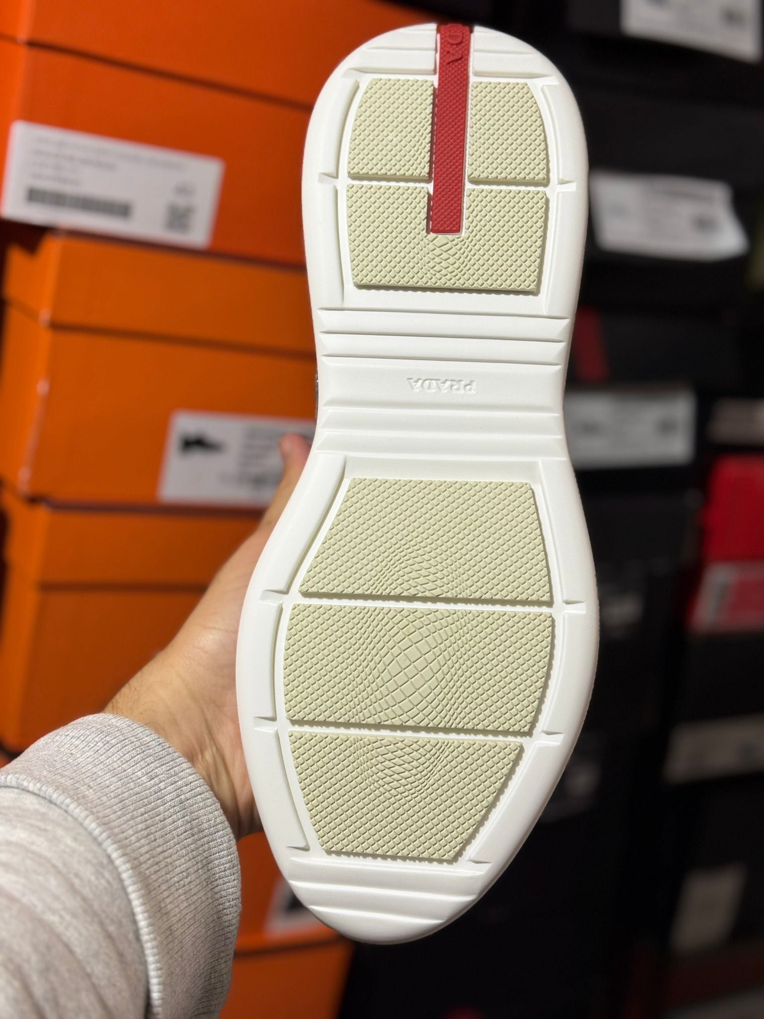 Prada America's Cup sneaker grey
