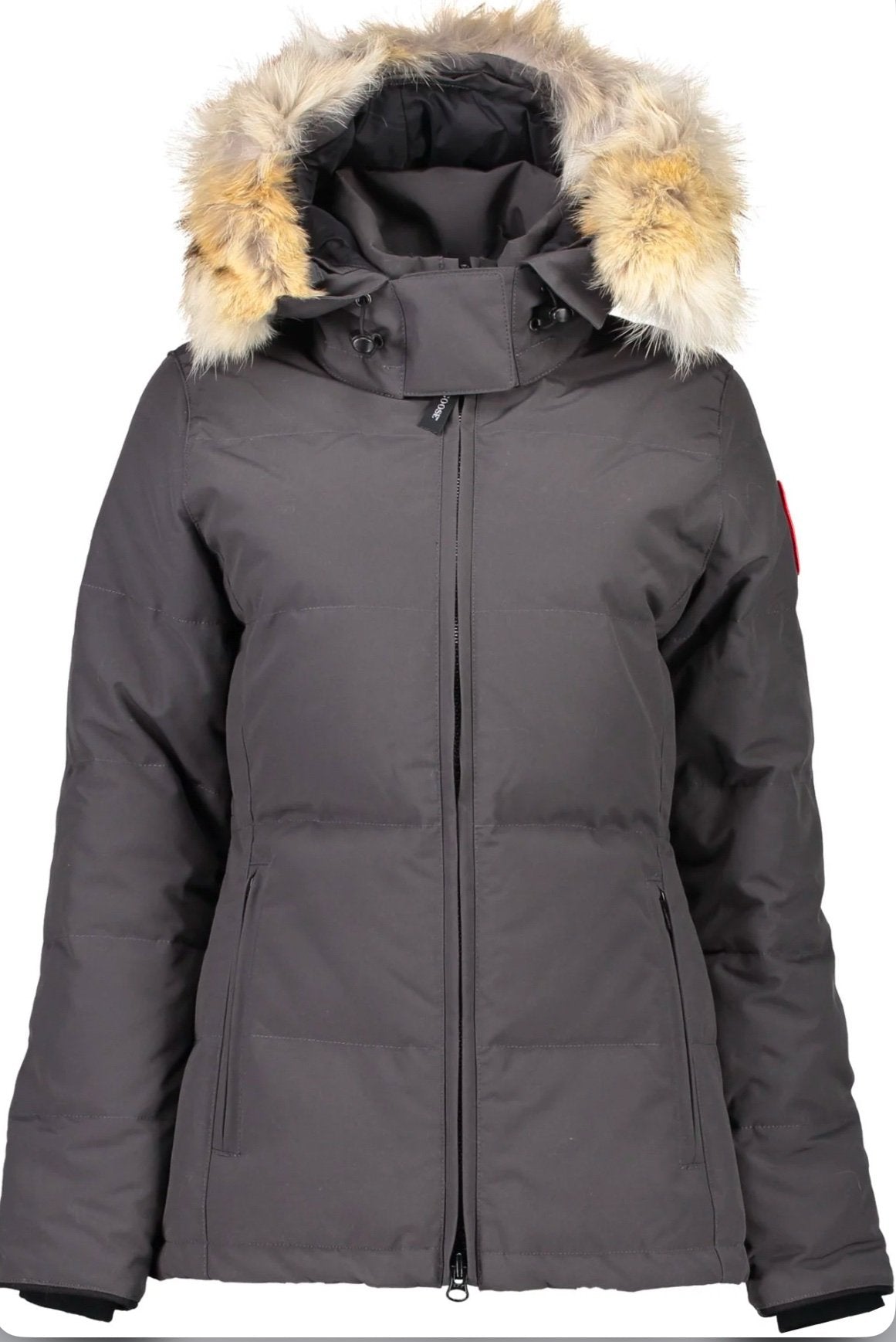 Canada Goose | Canada goose ladies Chelsea parka grey | Black | Back View | yiodesigner.co.uk